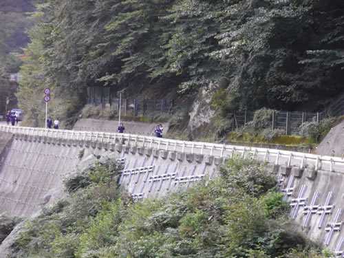 http://blog.budouyasan.com/081003-4.jpg