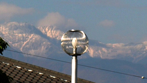 http://blog.budouyasan.com/081027.jpg