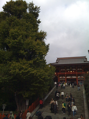 http://blog.budouyasan.com/081125.jpg
