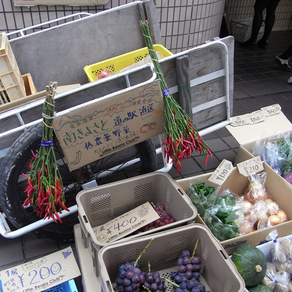http://blog.budouyasan.com/1.jpg