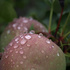 090623-4.jpg