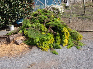 20100322002.JPG