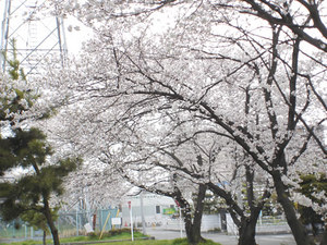 20100401-2.jpg