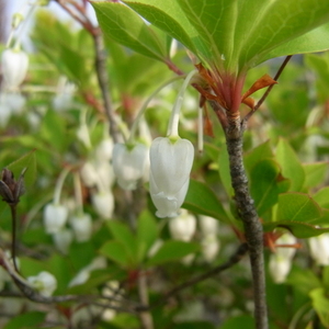 2009-05-05002.JPG