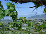 2011-05-15-2.JPG