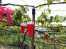 P20110525_1000001669.jpg
