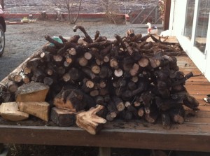 P20120122_41A89962-C410-43EE-A2C3-6BB3F3450B8D