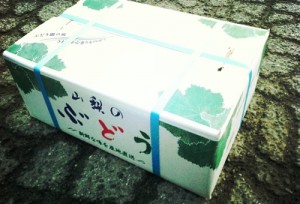 P20120122_F61E1A60-898B-40FF-A953-60F98FC10123