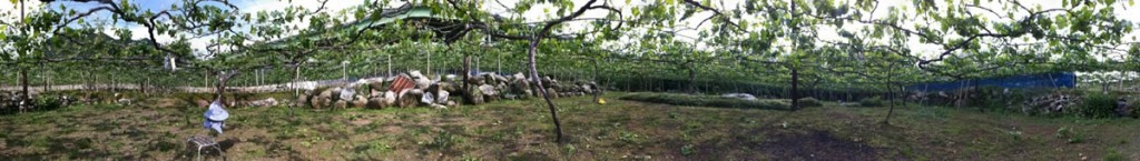 クリックすると拡大します